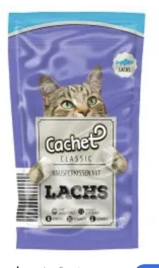 پوچ گربه کچت آلمان