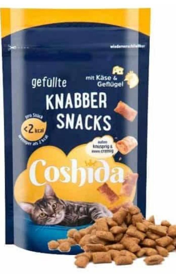 کرانچی گربه کوشیدا