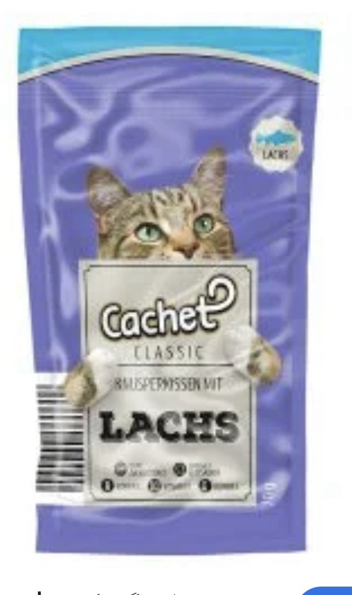 پوچ گربه کچت آلمان